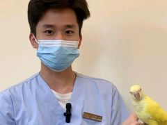 -立德异宠动物医院.兔鸟爬.内窥镜(天河店)