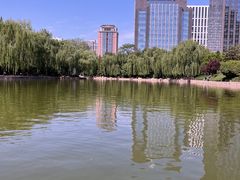 -团结湖公园