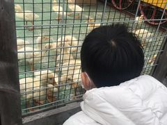 -前小桔亲子创意农场·草莓采摘·露营烧烤