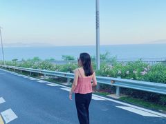 -玫瑰海岸文化旅游度假区