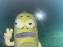 -白鹤梁水下博物馆