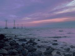 -宝安西湾红树林湿地公园