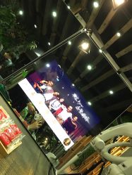 -V-STAR威斯达•高级私人定制