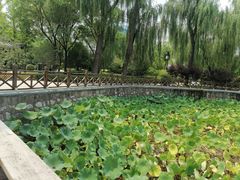 -迎泽公园