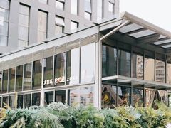 -拈菜(观音桥阳光世纪店)