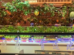 -比尔森韩式烤肉自助(国商店)