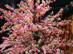 -田婆婆的菜(海口友谊阳光城店)