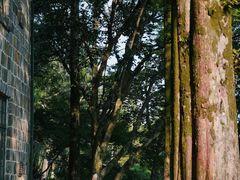 -莫干山风景区