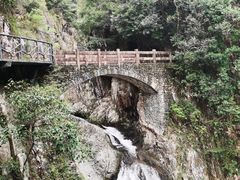 -龙湾潭国家森林公园