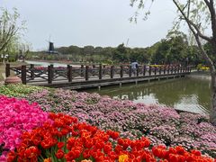 -上海鲜花港
