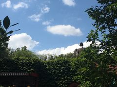 -三鹰之森吉卜力美术馆