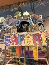 -卡通尼·Safari非洲探索乐园·生日会(金桥国际商业广场店)