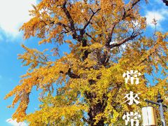 -常熟方塔园