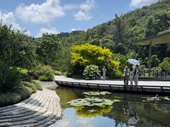 -云溪植物园
