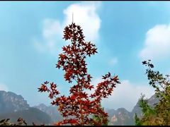 -狼牙山风景区