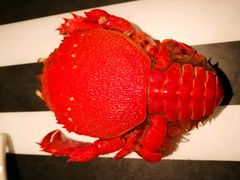 -万达文华酒店·48F云端窗景美食汇自助餐厅