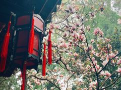 -成都武侯祠博物馆