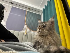 -符离集餐厅(万象城店)