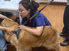 -北京观赏动物医院·24小时大型综合·猫专科·异宠专科