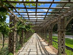 -北京张裕爱斐堡酒庄