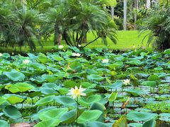 -中国科学院西双版纳热带植物园