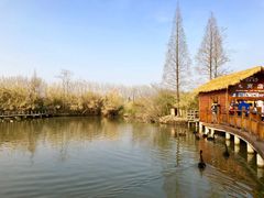 -溱湖国家湿地公园