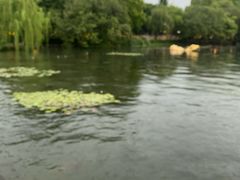 -杭州西湖风景名胜区-钱祠表忠