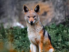 -杭州野生动物世界