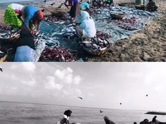 -尼甘布海鲜市场