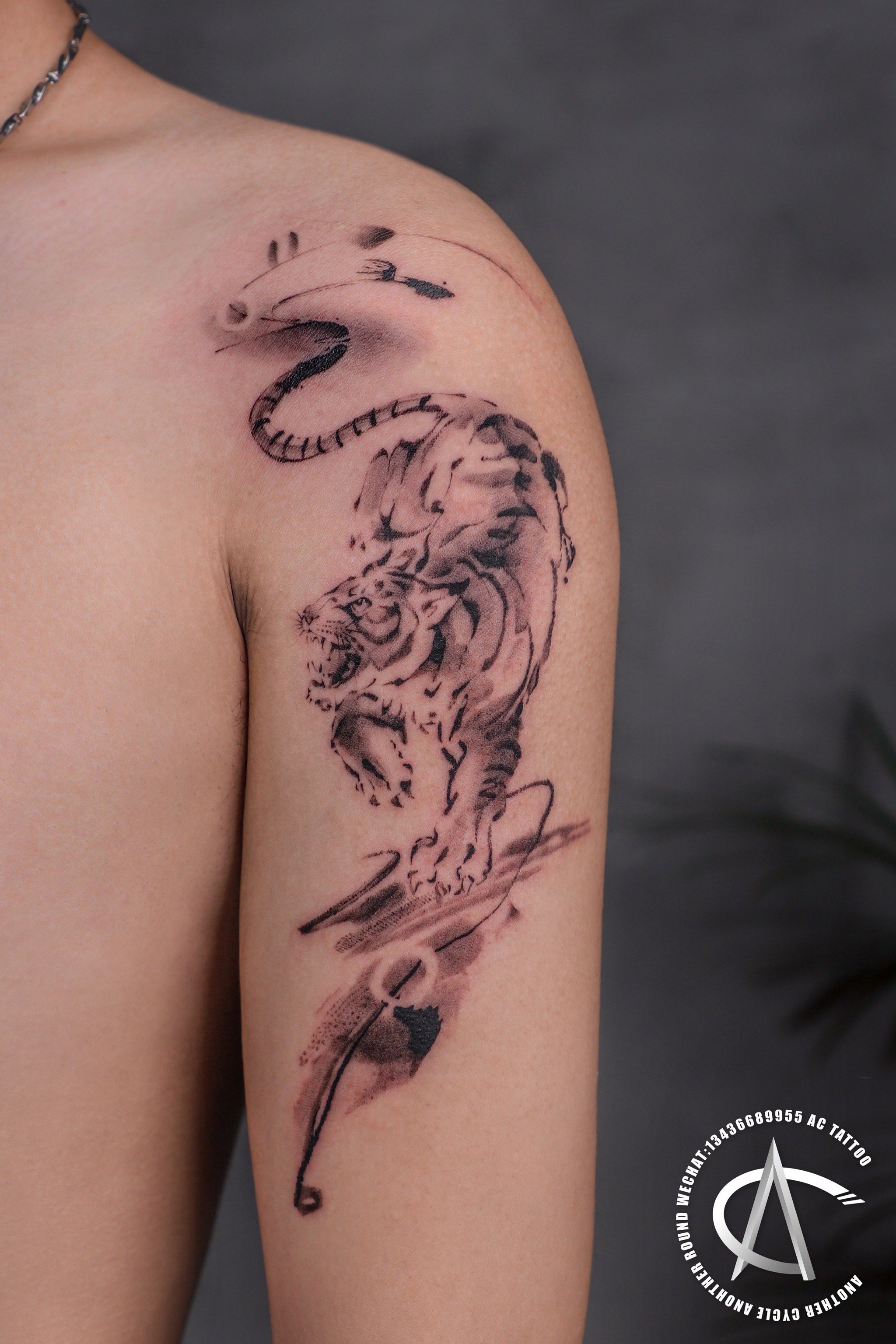 动物纹身系列开启