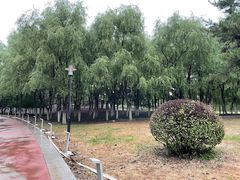 -莫子山公园