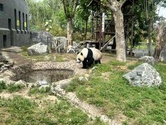 -泰山天颐湖旅游度假区
