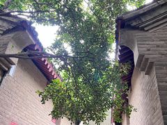 -康百万庄园