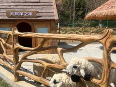 -红山体育度假乐园