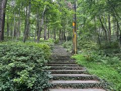 -南京老山国家森林公园