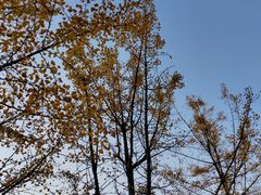 -观山湖公园