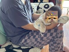 -优护佳医护级月嫂(和睦家浦西店)