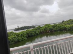 -厦门园林博览苑