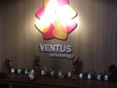 -ventus spa 沙巴亚庇正宗精油按摩会所