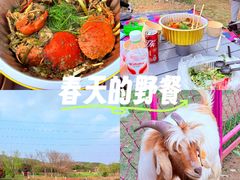 -金卉庄园