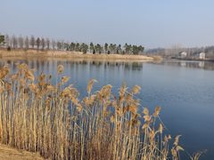 -盐城丹顶鹤湿地生态旅游区