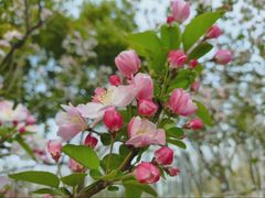 -天鹅湖体育公园