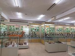 -北京中医药大学-中医药博物馆