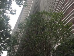 -上海市徐汇区口腔医院