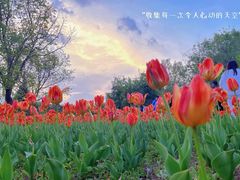 -长春公园(普阳街道)