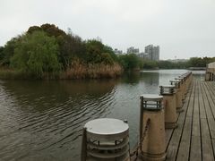 -新江湾城公园