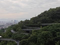 -福道