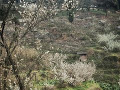 -樱桃山旅游景区