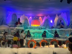 -帝企鹅自助餐厅•儿童岛•真企鹅(长隆企鹅酒店)