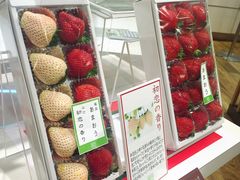 -阪急百货店(梅田总店)